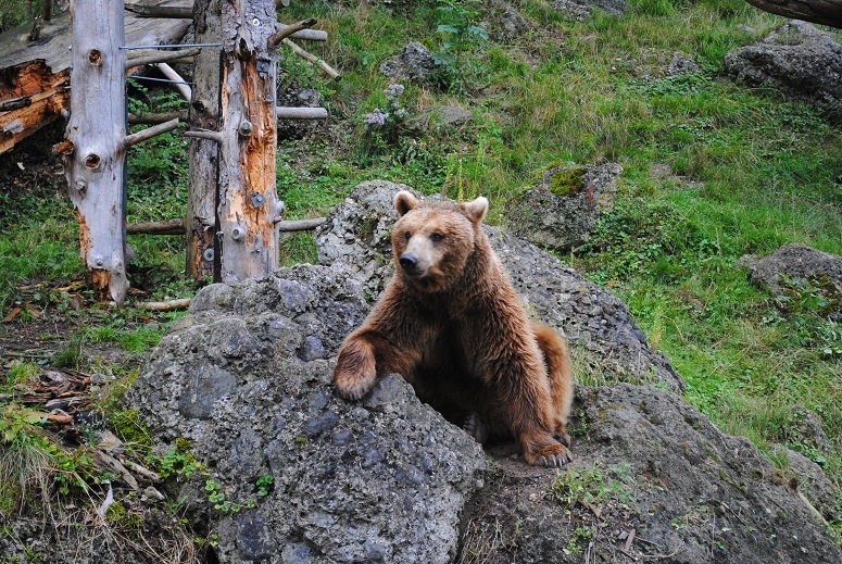 Через Альпы к морю - 2014