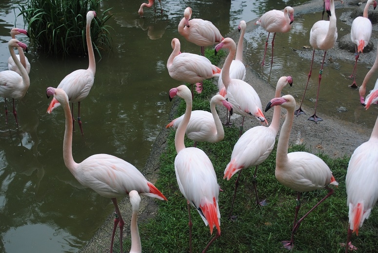 Через Альпы к морю - 2014