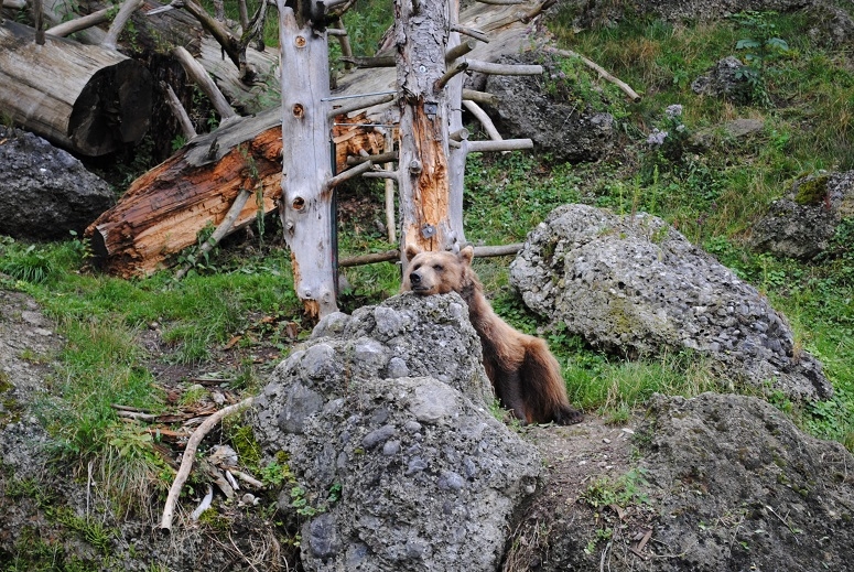 Через Альпы к морю - 2014