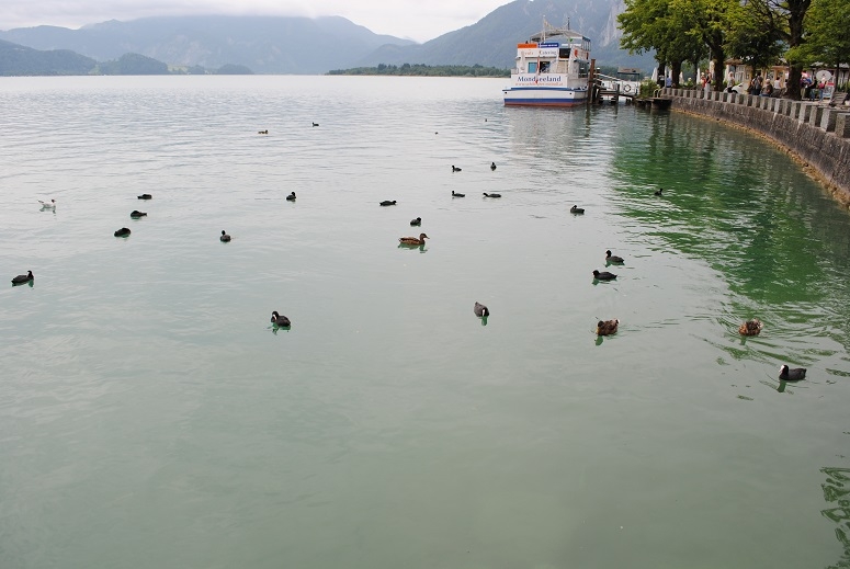 Через Альпы к морю - 2014