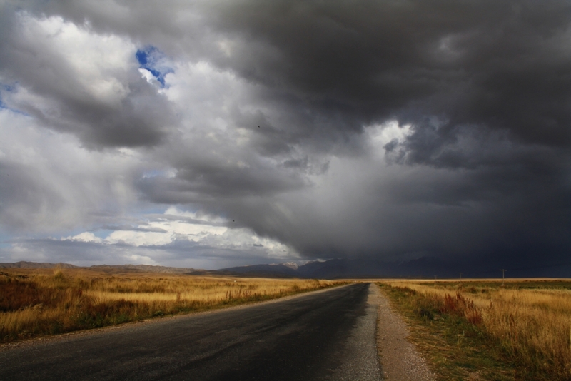Дороги, тропы: куда они нас ведут - тут фотоответ