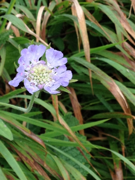 От Южного Урала через Казбек к двум морям (Россия-Грузия-Азербайджан) (+фото)