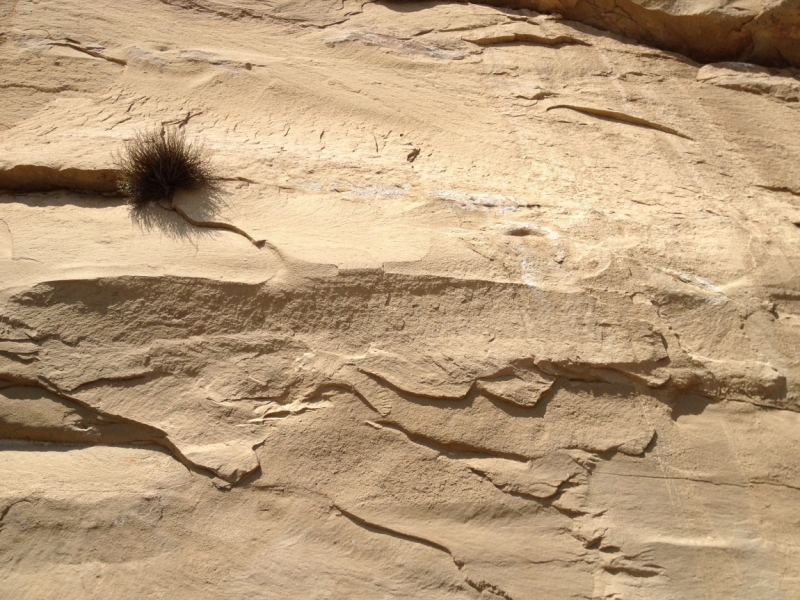 От Южного Урала через Казбек к двум морям (Россия-Грузия-Азербайджан) (+фото)