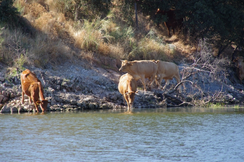 Август 2014 3 недели, включая пресноводный отдых