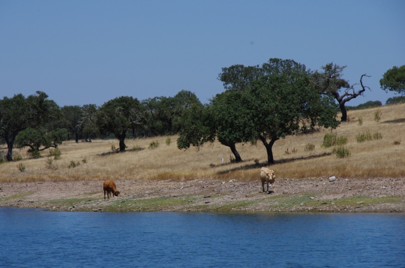 Август 2014 3 недели, включая пресноводный отдых