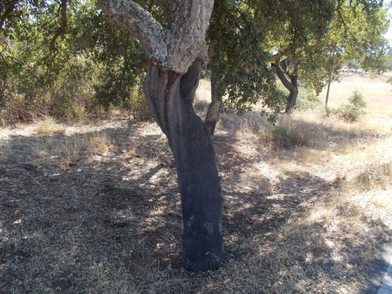 Август 2014 3 недели, включая пресноводный отдых