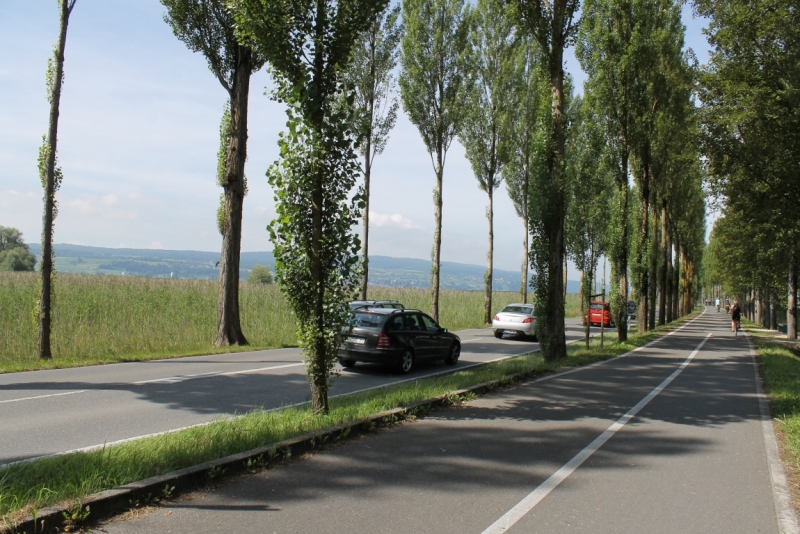 Пиво, термы и релакс ( Австрия, Германия, Швейцария в августе 2014 года )