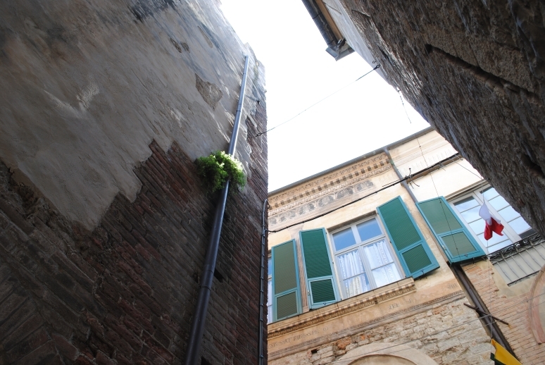 Через Альпы к морю - 2014