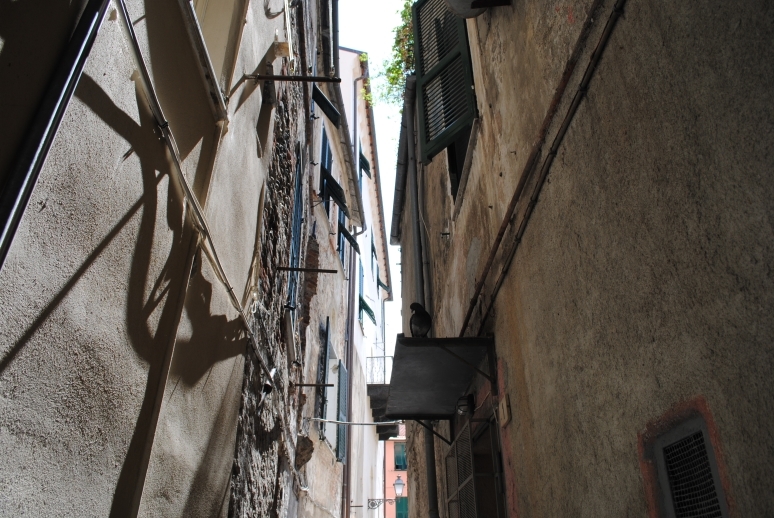 Через Альпы к морю - 2014