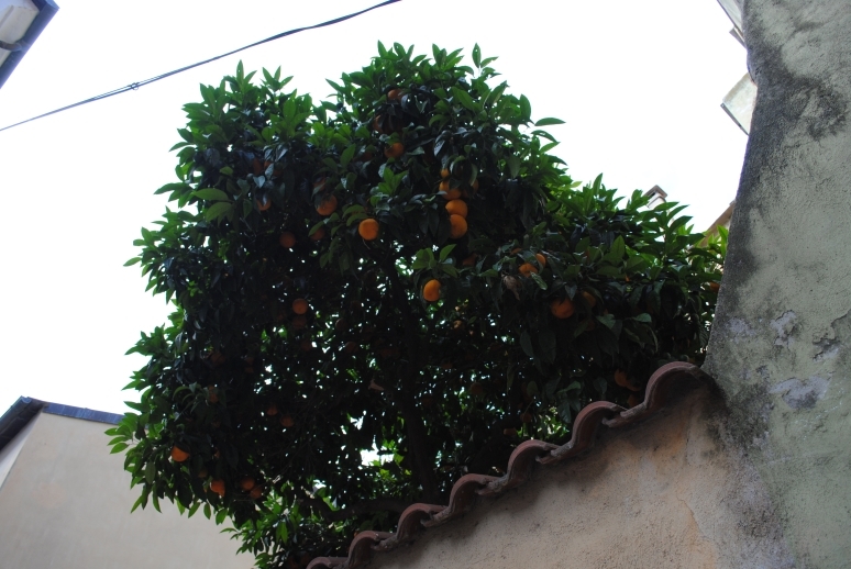 Через Альпы к морю - 2014