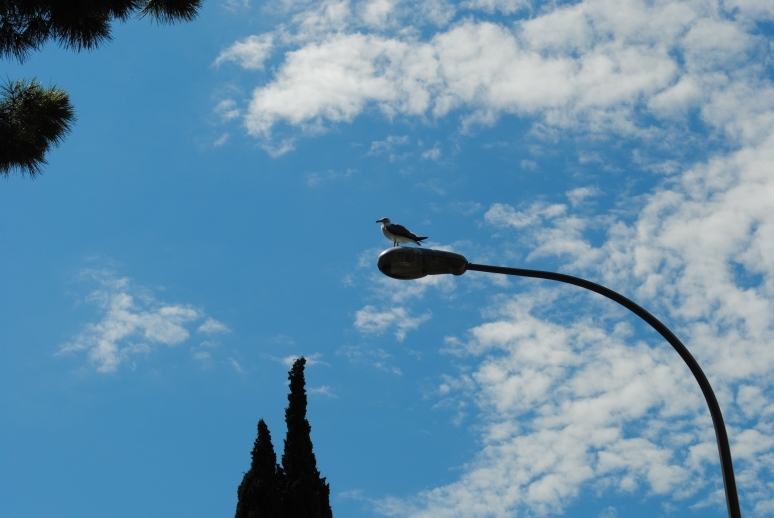 Через Альпы к морю - 2014