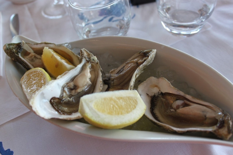 Европа опа 2014г.  11250 км