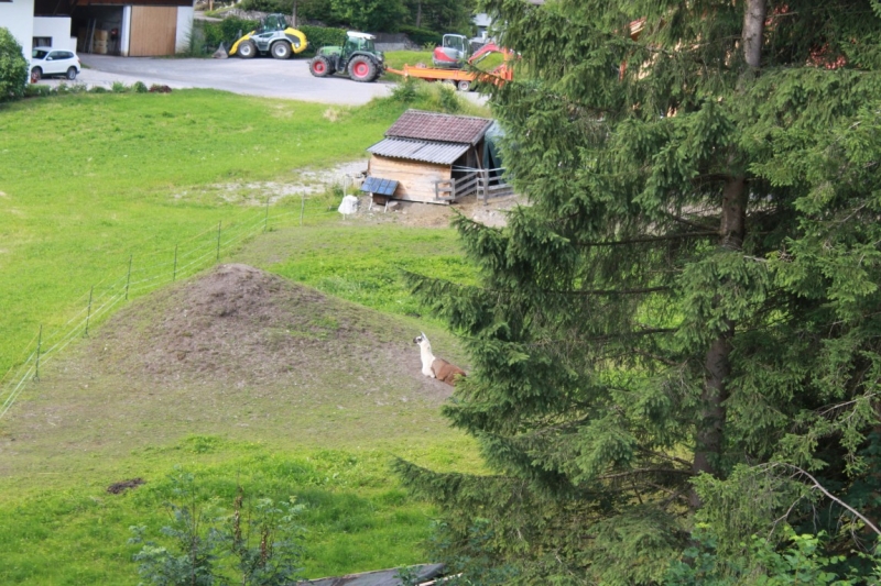 Европа опа 2014г.  11250 км