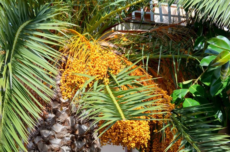 Сардиния. Октябрь 2013. Наш любимый остров.