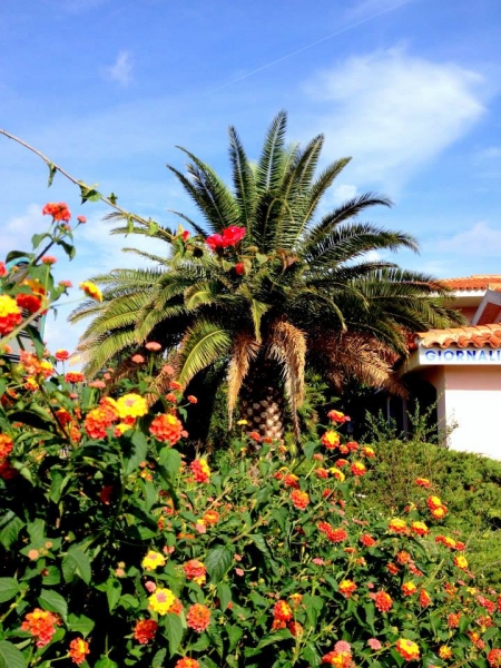 Сардиния. Октябрь 2013. Наш любимый остров.