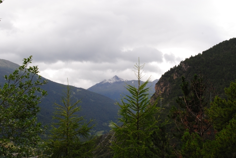 Через Альпы к морю - 2014