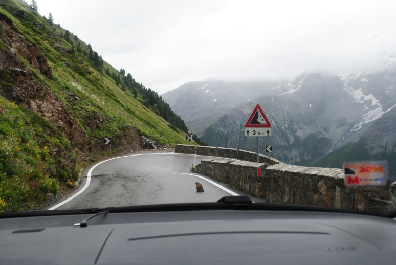 Через Альпы к морю - 2014