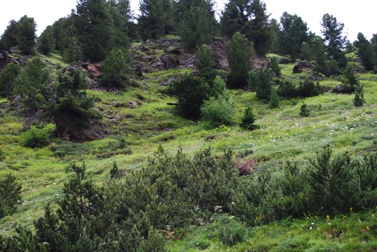 Через Альпы к морю - 2014