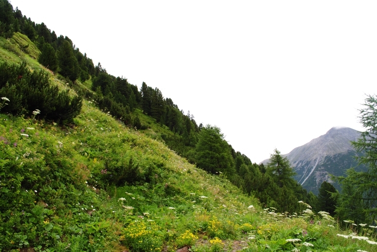 Через Альпы к морю - 2014