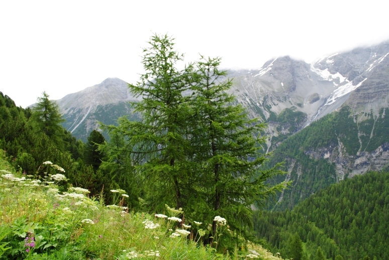 Через Альпы к морю - 2014