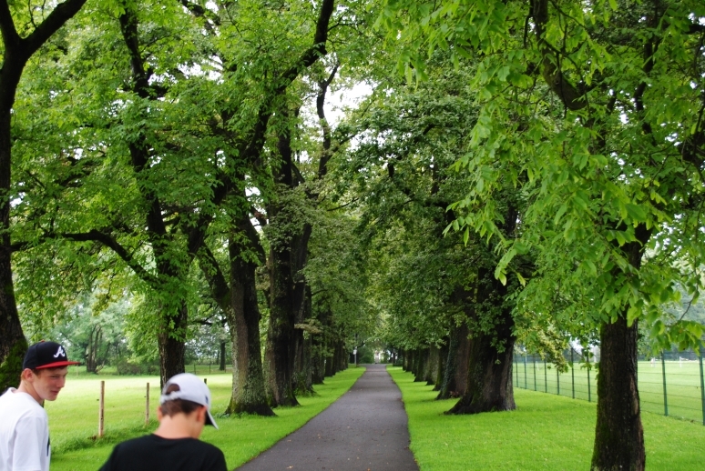 Через Альпы к морю - 2014