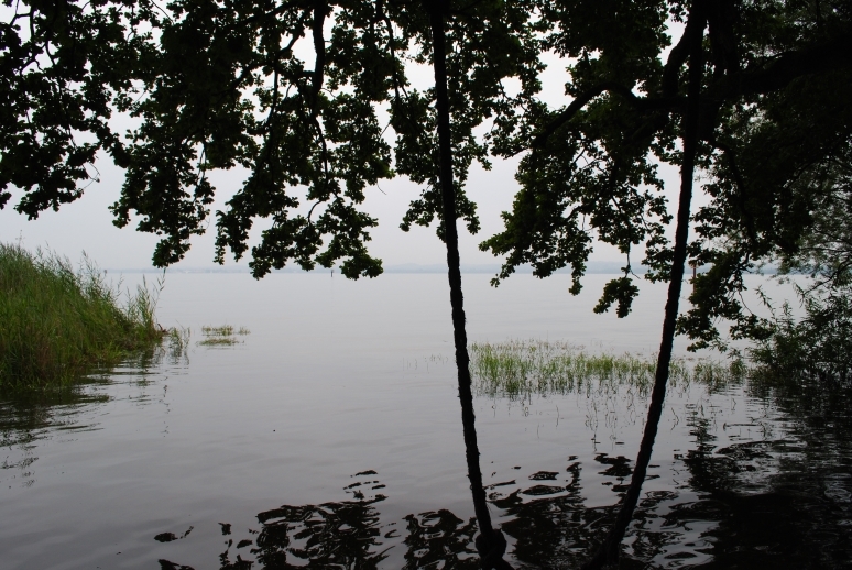 Через Альпы к морю - 2014