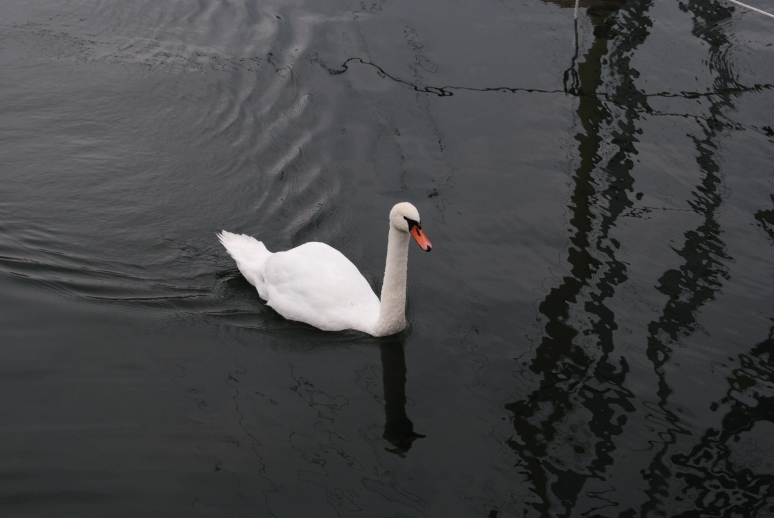 Через Альпы к морю - 2014