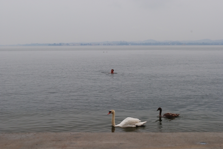 Через Альпы к морю - 2014