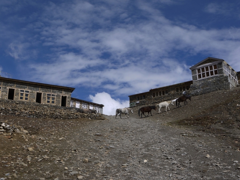 Кольцо Аннапурны (из Бессисахара до Покхары) или In the Big Rock Candy Mountains
