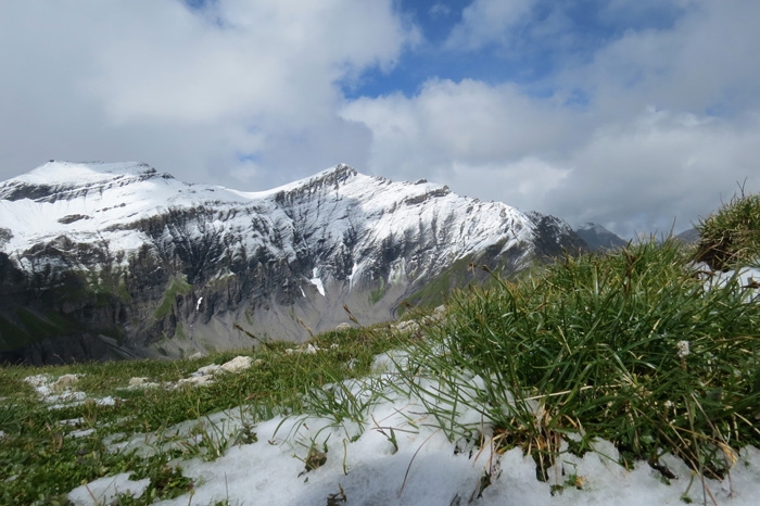 Tour de Mont Blanc - ну, почти