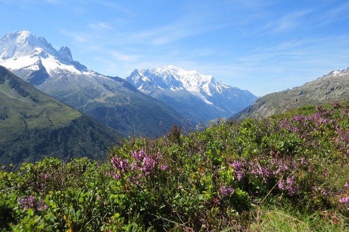 Tour de Mont Blanc - ну, почти