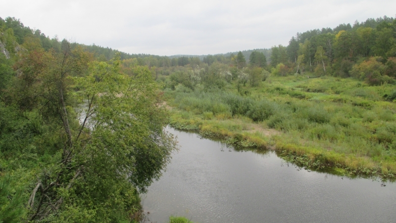 Прогулка по парку "Оленьи ручьи". Сентябрь 2014.