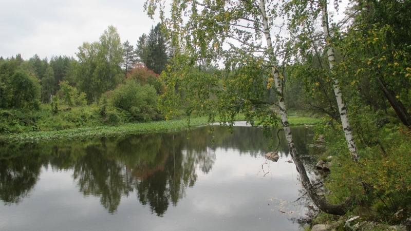 Прогулка по парку "Оленьи ручьи". Сентябрь 2014.