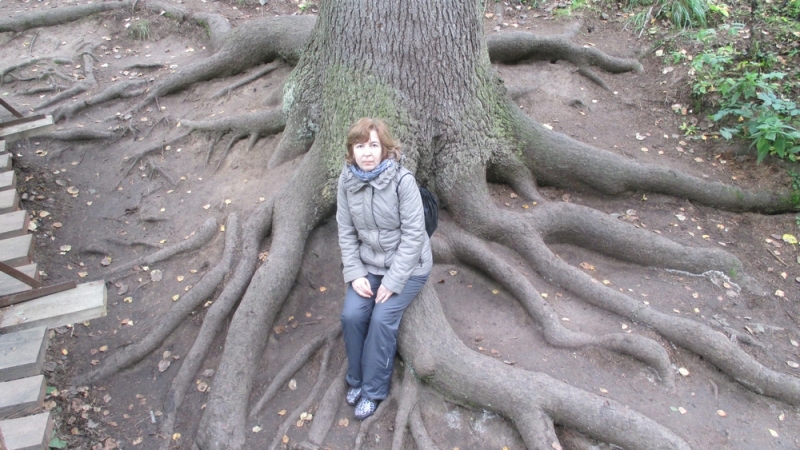 Прогулка по парку "Оленьи ручьи". Сентябрь 2014.