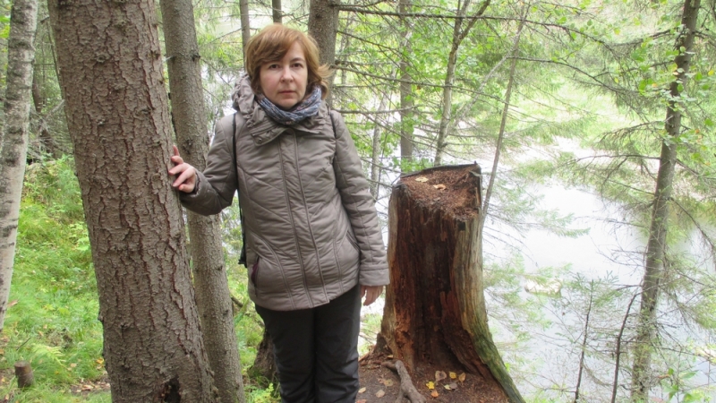 Прогулка по парку "Оленьи ручьи". Сентябрь 2014.