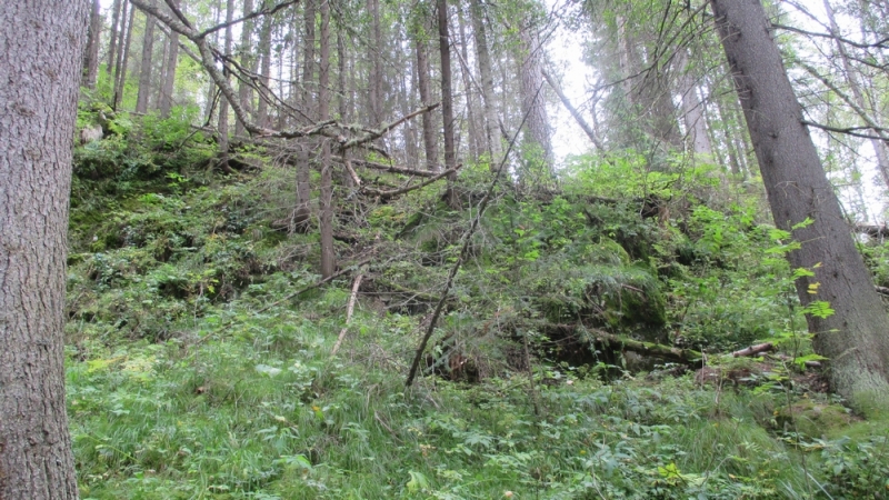 Прогулка по парку "Оленьи ручьи". Сентябрь 2014.