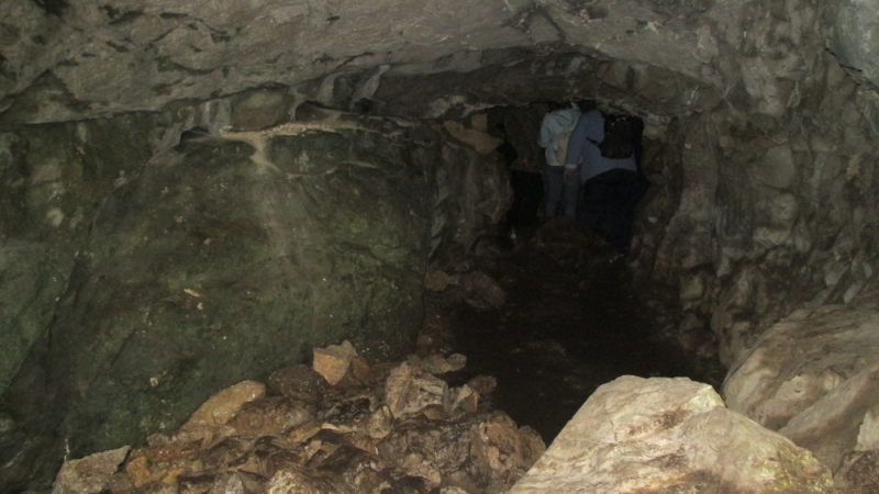 Прогулка по парку "Оленьи ручьи". Сентябрь 2014.