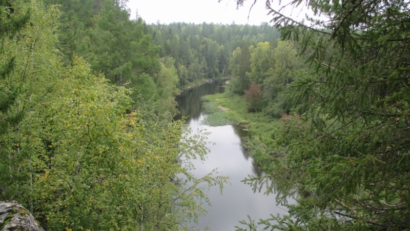 Прогулка по парку "Оленьи ручьи". Сентябрь 2014.