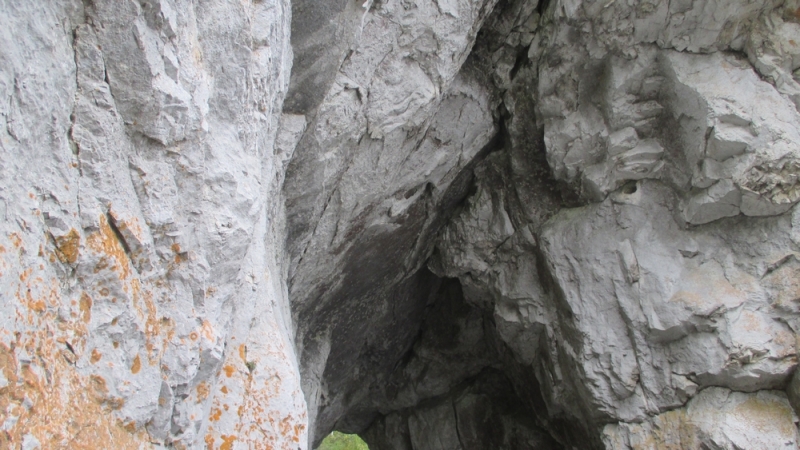 Прогулка по парку "Оленьи ручьи". Сентябрь 2014.