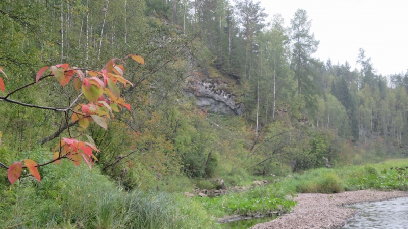 Прогулка по парку "Оленьи ручьи". Сентябрь 2014.