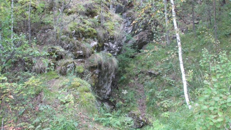 Прогулка по парку "Оленьи ручьи". Сентябрь 2014.