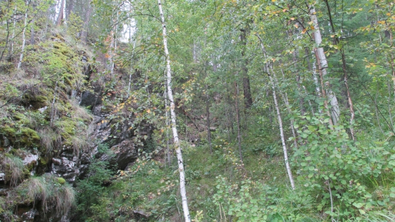 Прогулка по парку "Оленьи ручьи". Сентябрь 2014.