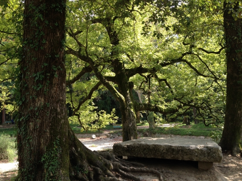 От Южного Урала через Казбек к двум морям (Россия-Грузия-Азербайджан) (+фото)