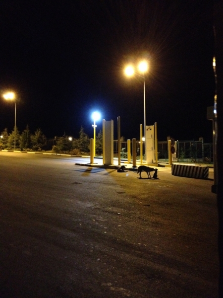 От Южного Урала через Казбек к двум морям (Россия-Грузия-Азербайджан) (+фото)