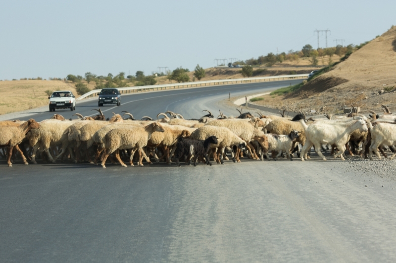 От Южного Урала через Казбек к двум морям (Россия-Грузия-Азербайджан) (+фото)