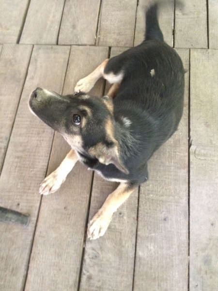 От Южного Урала через Казбек к двум морям (Россия-Грузия-Азербайджан) (+фото)