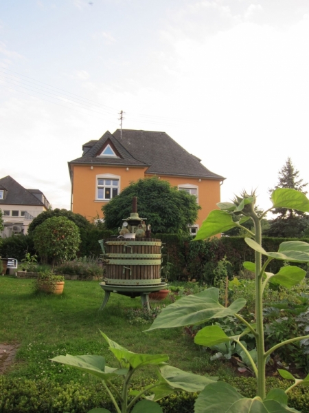 Нидерланды – Бельгия –Люксембург. Парковки.