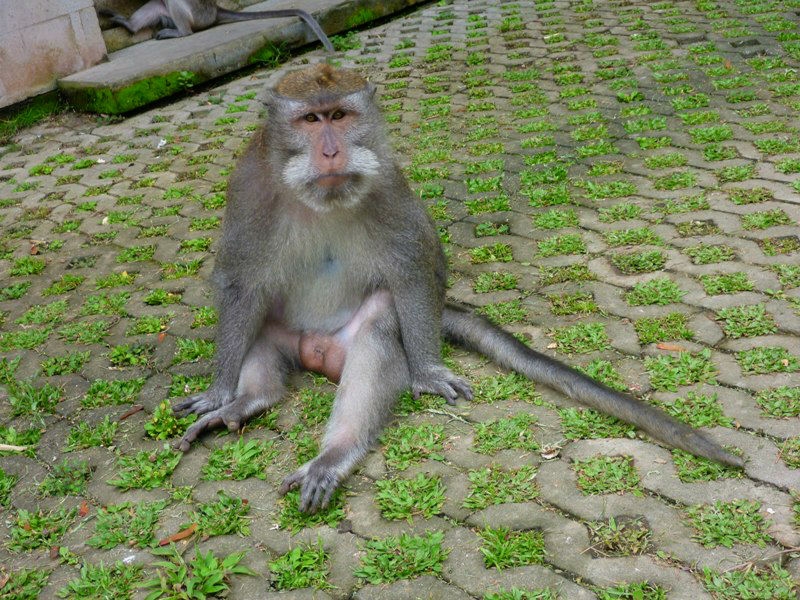 Открывая Индонезию впервые…