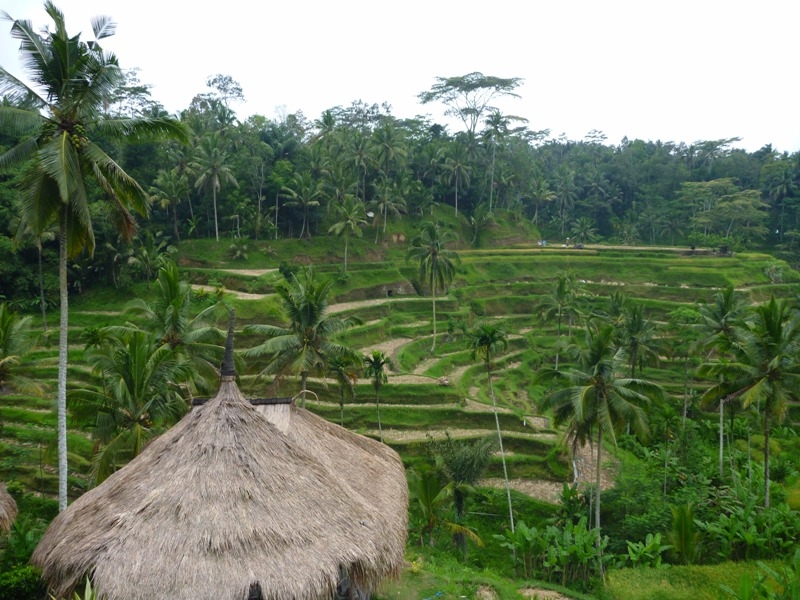 Открывая Индонезию впервые…