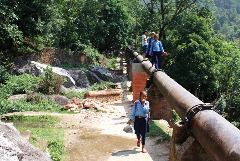 Дороги, тропы: куда они нас ведут - тут фотоответ